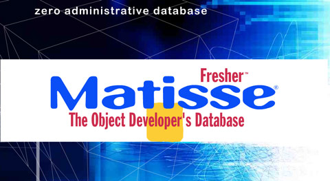 Matisse Flash presentation